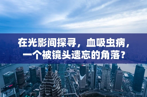 在光影间探寻，血吸虫病，一个被镜头遗忘的角落？