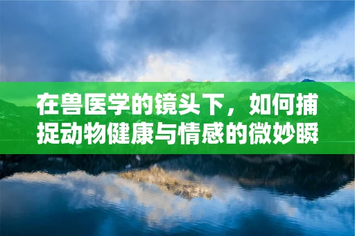 在兽医学的镜头下，如何捕捉动物健康与情感的微妙瞬间？