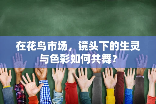 在花鸟市场，镜头下的生灵与色彩如何共舞？