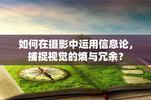 如何在摄影中运用信息论，捕捉视觉的熵与冗余？