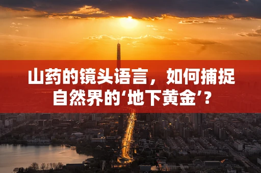 山药的镜头语言，如何捕捉自然界的‘地下黄金’？