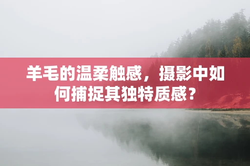 羊毛的温柔触感，摄影中如何捕捉其独特质感？