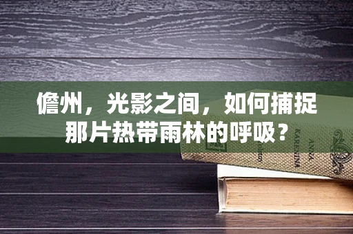 儋州，光影之间，如何捕捉那片热带雨林的呼吸？