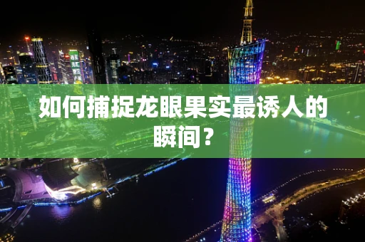 如何捕捉龙眼果实最诱人的瞬间？