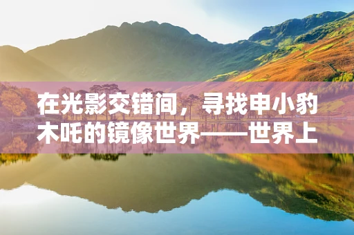 在光影交错间，寻找申小豹木吒的镜像世界——世界上的另一个我，何方寻觅？