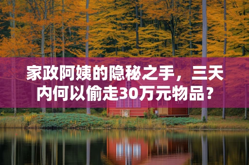 家政阿姨的隐秘之手，三天内何以偷走30万元物品？