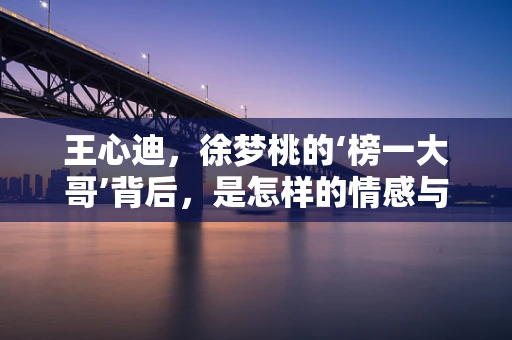 王心迪，徐梦桃的‘榜一大哥’背后，是怎样的情感与支持力量？