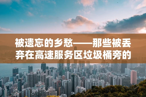 被遗忘的乡愁——那些被丢弃在高速服务区垃圾桶旁的土特产，何去何从？