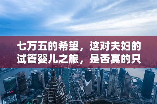 七万五的希望，这对夫妇的试管婴儿之旅，是否真的只是场骗局？