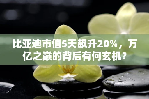 比亚迪市值5天飙升20%，万亿之巅的背后有何玄机？