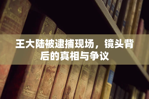 王大陆被逮捕现场，镜头背后的真相与争议