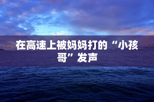 在高速上被妈妈打的“小孩哥”发声