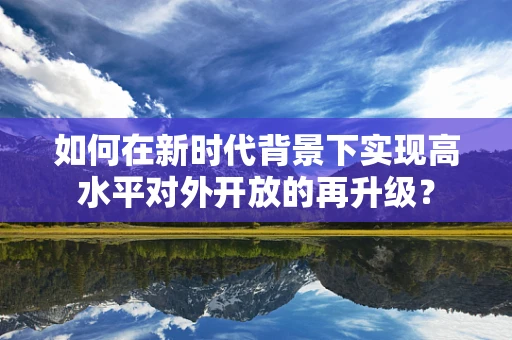 如何在新时代背景下实现高水平对外开放的再升级？