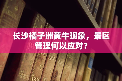 长沙橘子洲黄牛现象，景区管理何以应对？