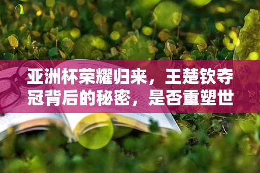 亚洲杯荣耀归来，王楚钦夺冠背后的秘密，是否重塑世界排名第一的传奇？