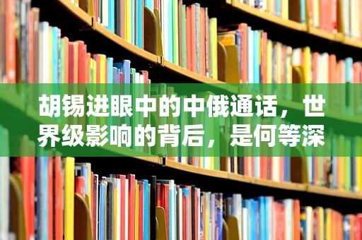 胡锡进眼中的中俄通话，世界级影响的背后，是何等深远的战略考量？