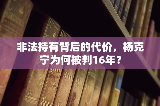 非法持有背后的代价，杨克宁为何被判16年？