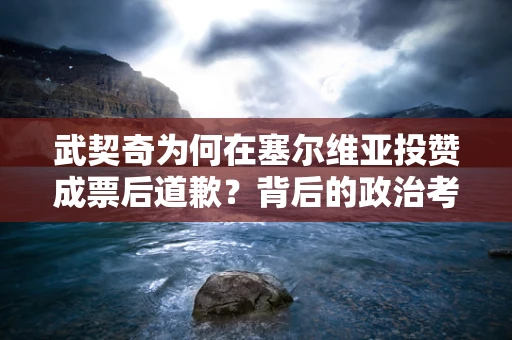 武契奇为何在塞尔维亚投赞成票后道歉？背后的政治考量与民众情绪