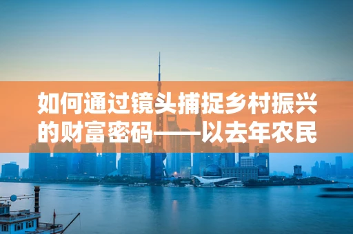 如何通过镜头捕捉乡村振兴的财富密码——以去年农民人均可支配收入23119元为视角