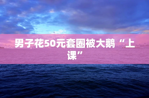 男子花50元套圈被大鹅“上课”