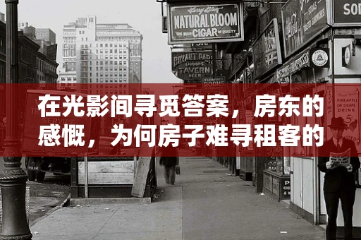 在光影间寻觅答案，房东的感慨，为何房子难寻租客的归宿？