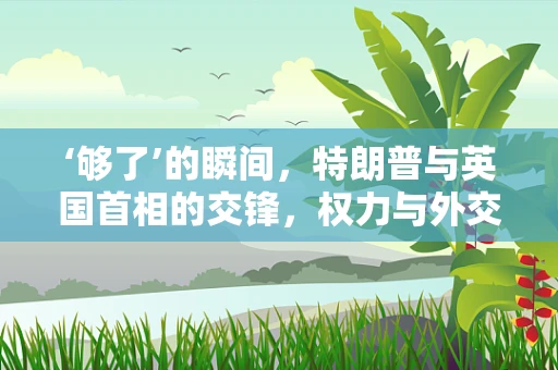 ‘够了’的瞬间，特朗普与英国首相的交锋，权力与外交的微妙平衡