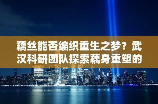 藕丝能否编织重生之梦？武汉科研团队探索藕身重塑的奇迹