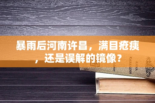 暴雨后河南许昌，满目疮痍，还是误解的镜像？