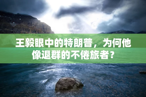 王毅眼中的特朗普，为何他像退群的不倦旅者？