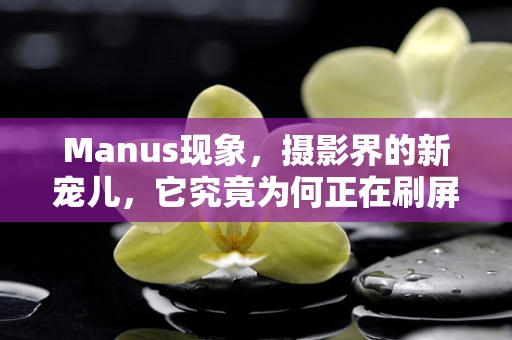 Manus现象，摄影界的新宠儿，它究竟为何正在刷屏？