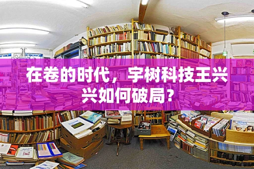 在卷的时代，宇树科技王兴兴如何破局？