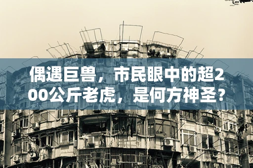 偶遇巨兽，市民眼中的超200公斤老虎，是何方神圣？