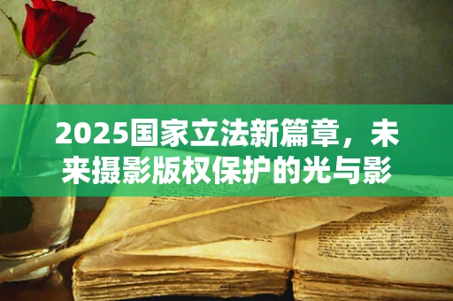 2025国家立法新篇章，未来摄影版权保护的光与影