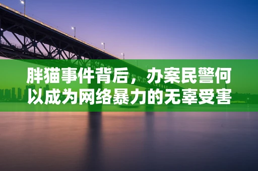 胖猫事件背后，办案民警何以成为网络暴力的无辜受害者？