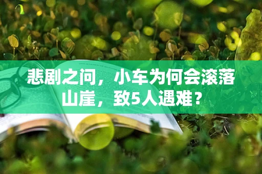 悲剧之问，小车为何会滚落山崖，致5人遇难？