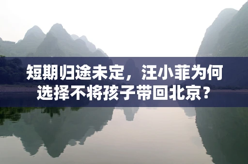 短期归途未定，汪小菲为何选择不将孩子带回北京？