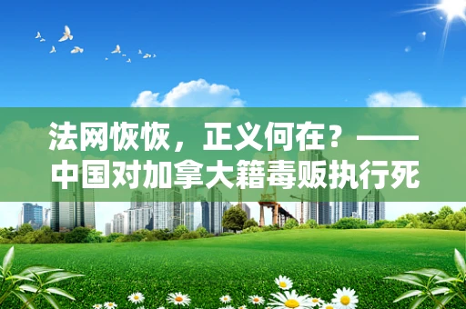 法网恢恢，正义何在？——中国对加拿大籍毒贩执行死刑的深思