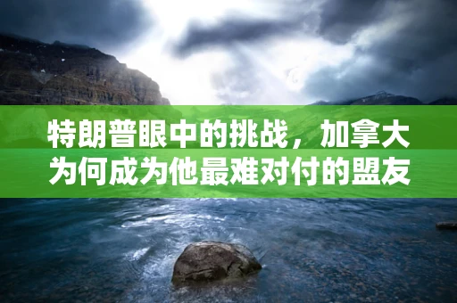 特朗普眼中的挑战，加拿大为何成为他最难对付的盟友之一？