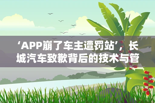 ‘APP崩了车主遭罚站’，长城汽车致歉背后的技术与管理挑战？