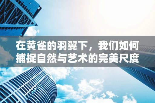 在黄雀的羽翼下，我们如何捕捉自然与艺术的完美尺度？