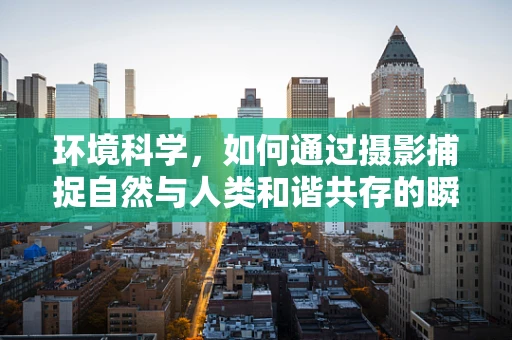 环境科学，如何通过摄影捕捉自然与人类和谐共存的瞬间？