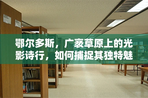 鄂尔多斯，广袤草原上的光影诗行，如何捕捉其独特魅力？