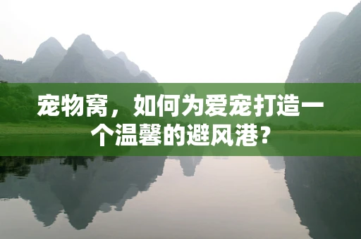 宠物窝，如何为爱宠打造一个温馨的避风港？