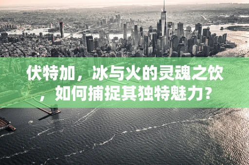 伏特加，冰与火的灵魂之饮，如何捕捉其独特魅力？