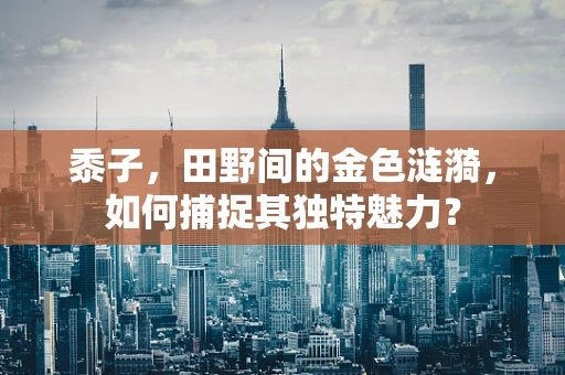 黍子，田野间的金色涟漪，如何捕捉其独特魅力？