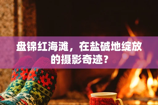 盘锦红海滩，在盐碱地绽放的摄影奇迹？