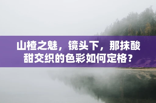 山楂之魅，镜头下，那抹酸甜交织的色彩如何定格？