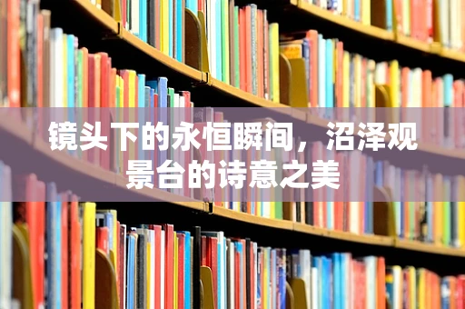 镜头下的永恒瞬间，沼泽观景台的诗意之美